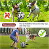 Interactief hondenvoetbalspeelgoed, voetbal, opblaasbaar trainingsspeelgoed voor honden, buitenballen voor grote honden, huisdierbenodigdheden