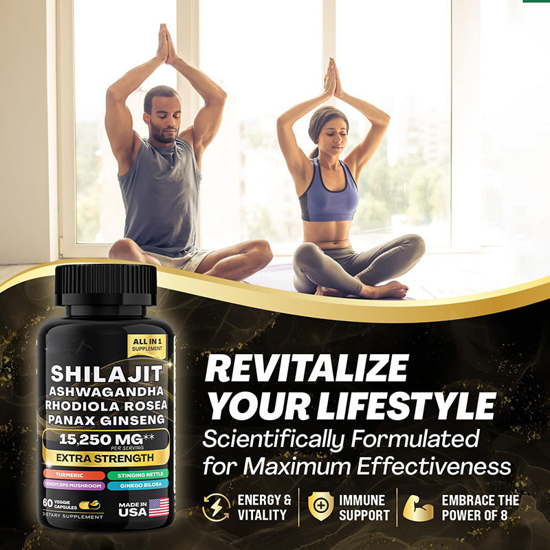 Shilajit Pure Himalaya energiebooster